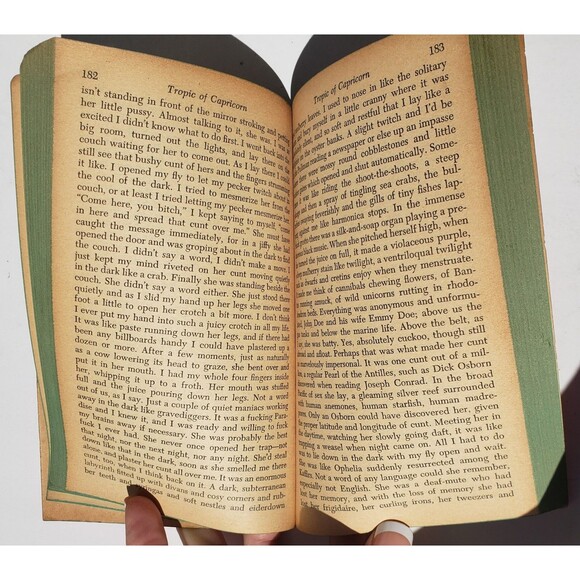 Tropic Of Capricorn & Sexus by Henry Miller Vintage Paperbacks 1961 & 1973 - Picture 7 of 16